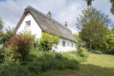 House amidst trees and plants against sky