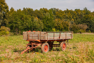 An old trailer full of red pumpkins lonely in a field seen from the side, germany