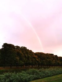 Scenic view of field against rainbow in sky