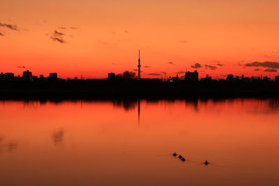 Silhouette of birds flying over lake during sunset