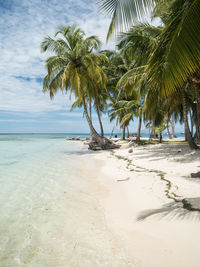 Palm trees on beach against sky