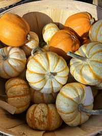 A lot of autumn carving pumpkins for sale at pumpkin patch for halloween