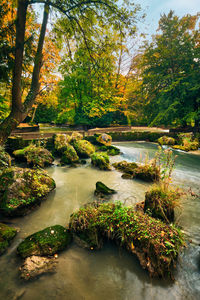 Scenic view of lake in forest during autumn