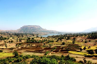 Scenic view of landscape against clear sky