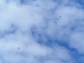 Low angle view of birds flying in sky