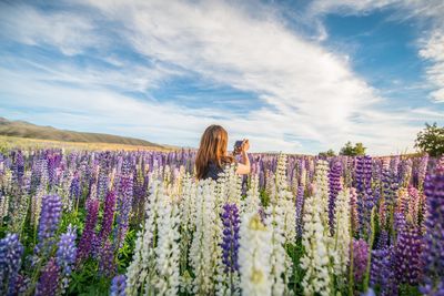 Rear view of woman photographing amidst flowers on field against sky