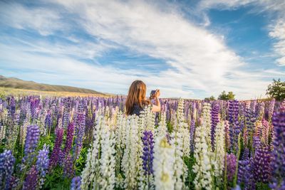 Scenic view of flowering plants on field against sky