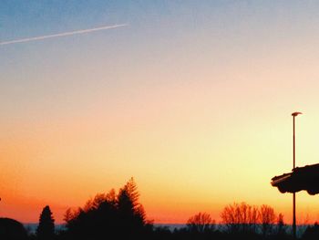 Silhouette of trees at sunset