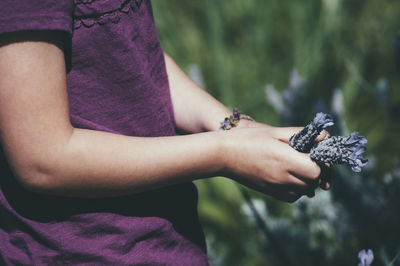 Midsection of woman holding purple flowers on field