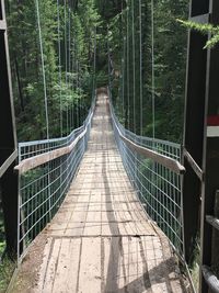 Footbridge amidst trees in forest