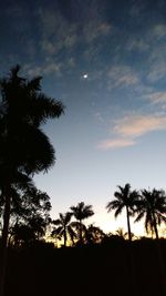 Low angle view of silhouette trees against sky at night