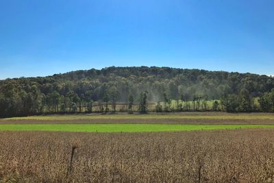 Scenic view of field against clear blue sky