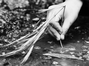 Cropped image of boy dipping stem in puddle