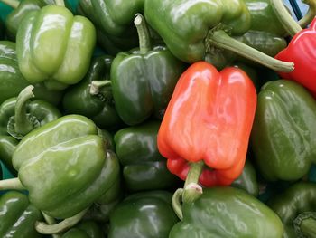 Full frame shot of bell peppers for sale in market