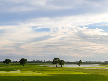 Scenic view of golf course against sky