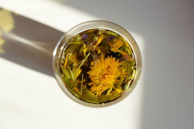 Close-up of yellow flower over white background