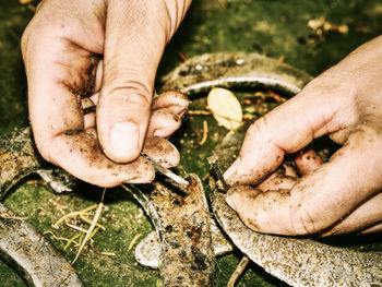 Silver horse shoes onfemale palms. still with obsolet horseshoes on ground dotted with fallen leaves