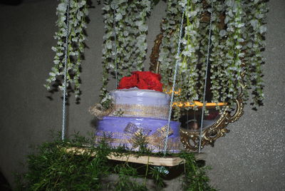 Cake on swing by plants against wall