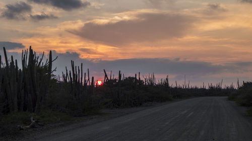 Road by trees against sky during sunset