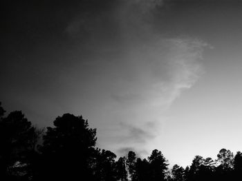 Low angle view of trees against sky