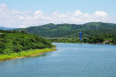 Scenic view of river amidst trees against sky