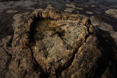 Close-up of cave