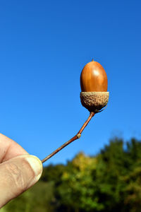 Hand holding apple against clear blue sky