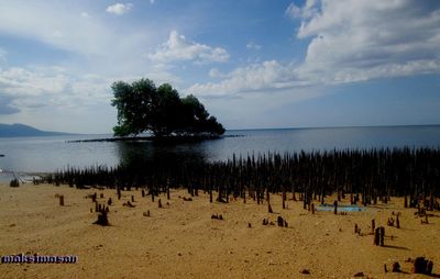 Scenic view of beach against sky