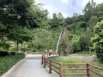 Footbridge amidst trees in forest against sky