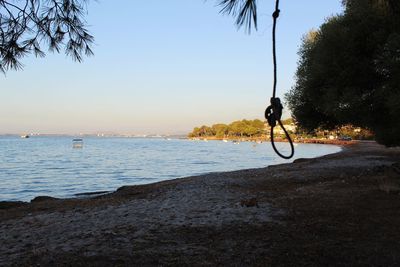 Hanging noose on beach against clear sky