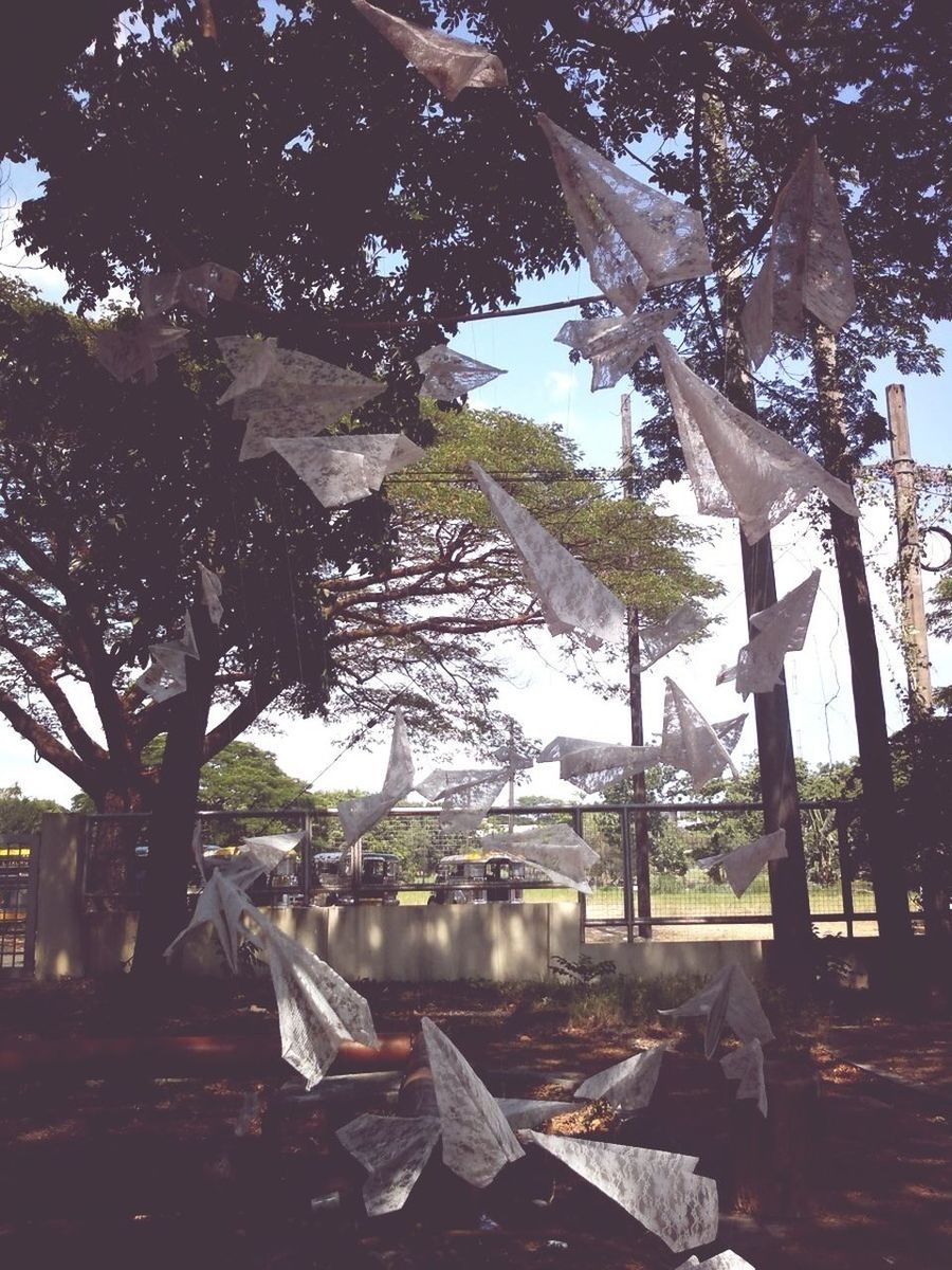 tree, tree trunk, chair, bench, park - man made space, growth, branch, table, sunlight, built structure, day, absence, shadow, empty, nature, tranquility, wood - material, outdoors, architecture, no people