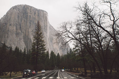 Cars on road by trees against sky