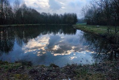 Scenic view of lake in forest against sky