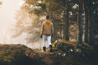 Rear view of a man standing in forest