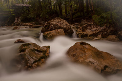 Stream flowing through rocks in forest