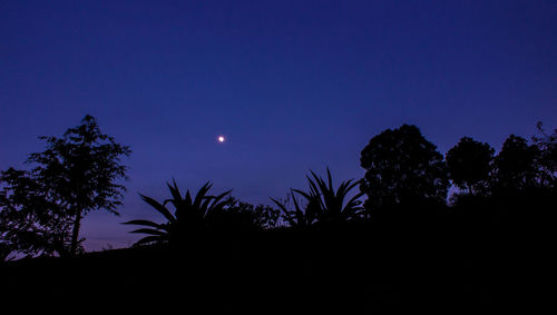 Silhouette trees against blue sky at night