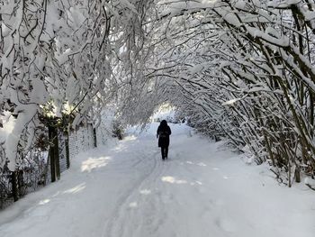 Rear view of person walking on snow covered land