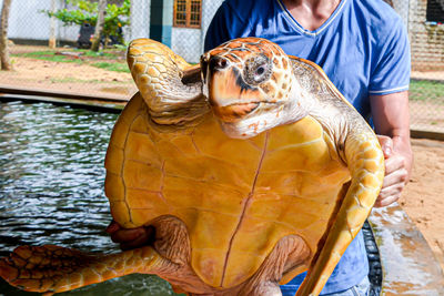 Midsection of man in water at zoo