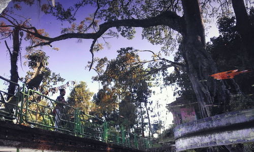 Low angle view of trees against sky