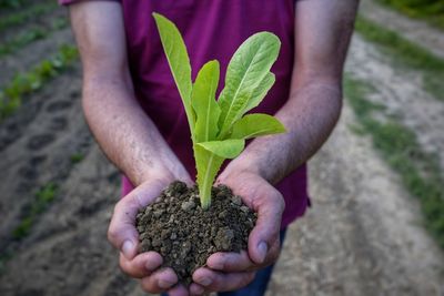 Midsection of man holding plant with soil on field