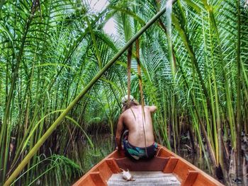 Rear view of shirtless man sitting on boat at mangrove forest