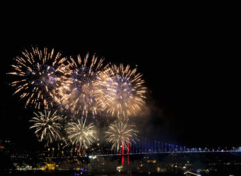 Firework display in sky at night