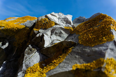 Close-up of yellow rocks on rock against sky