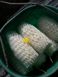 High angle view of white flowering plant