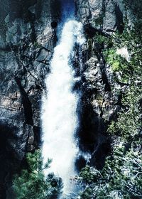 Low angle view of waterfall in forest