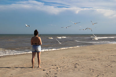 Woman feeding seagulls on the beach on a sunny day. rear view of seagulls flying over beach