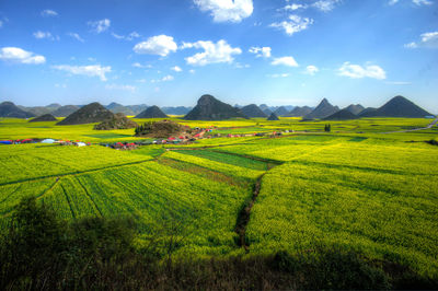 Scenic view of field against sky