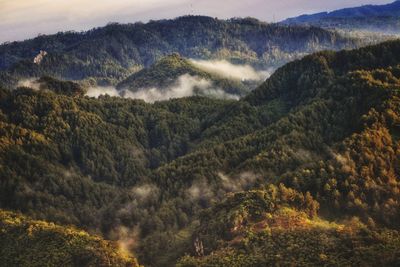 High angle view of trees and mountains against sky