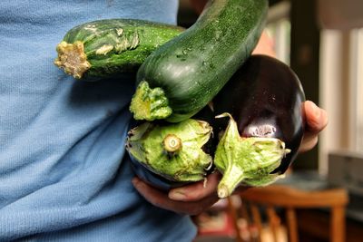 Midsection of woman holding eggplant and zucchini
