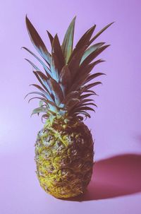 Close-up of fruit on table